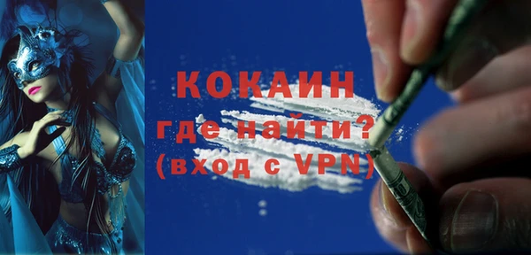 индика Пересвет