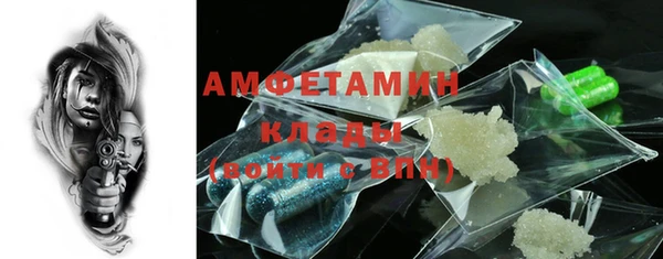 индика Пересвет