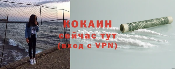 индика Пересвет