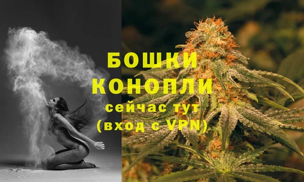 дмт Пестово
