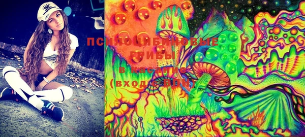 PSILOCYBIN Переславль-Залесский