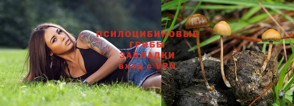 сатива Остров