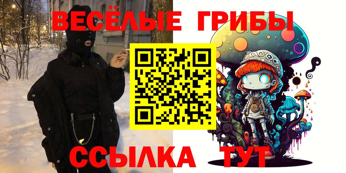 Псилоцибиновые грибы Psilocybine cubensis Братск