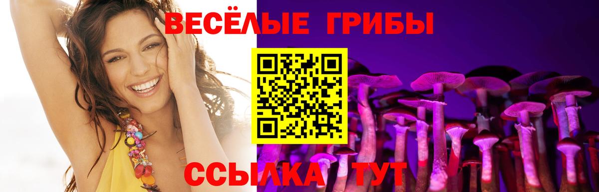 купить наркотики сайты  Псилоцибиновые грибы мицелий  Братск  Вход с VPN  Галлюциногенные грибы мицелий 